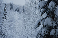 THE TWO SIDES OF WINTER