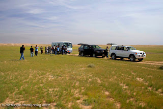 محمية صباح الاحمد ( معلومات وصور ) .. !! Cars+and+bus