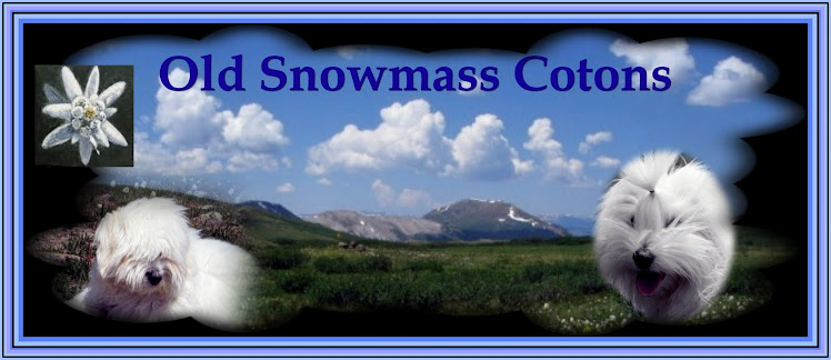 Old Snowmass Cotons