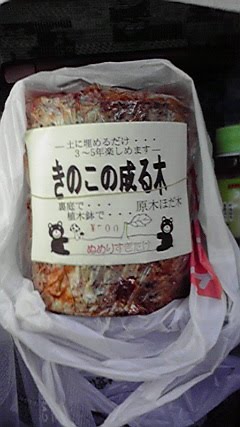 [2010021810370000-721168.jpg]