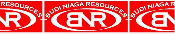 BUDI NIAGA RESOURCES 