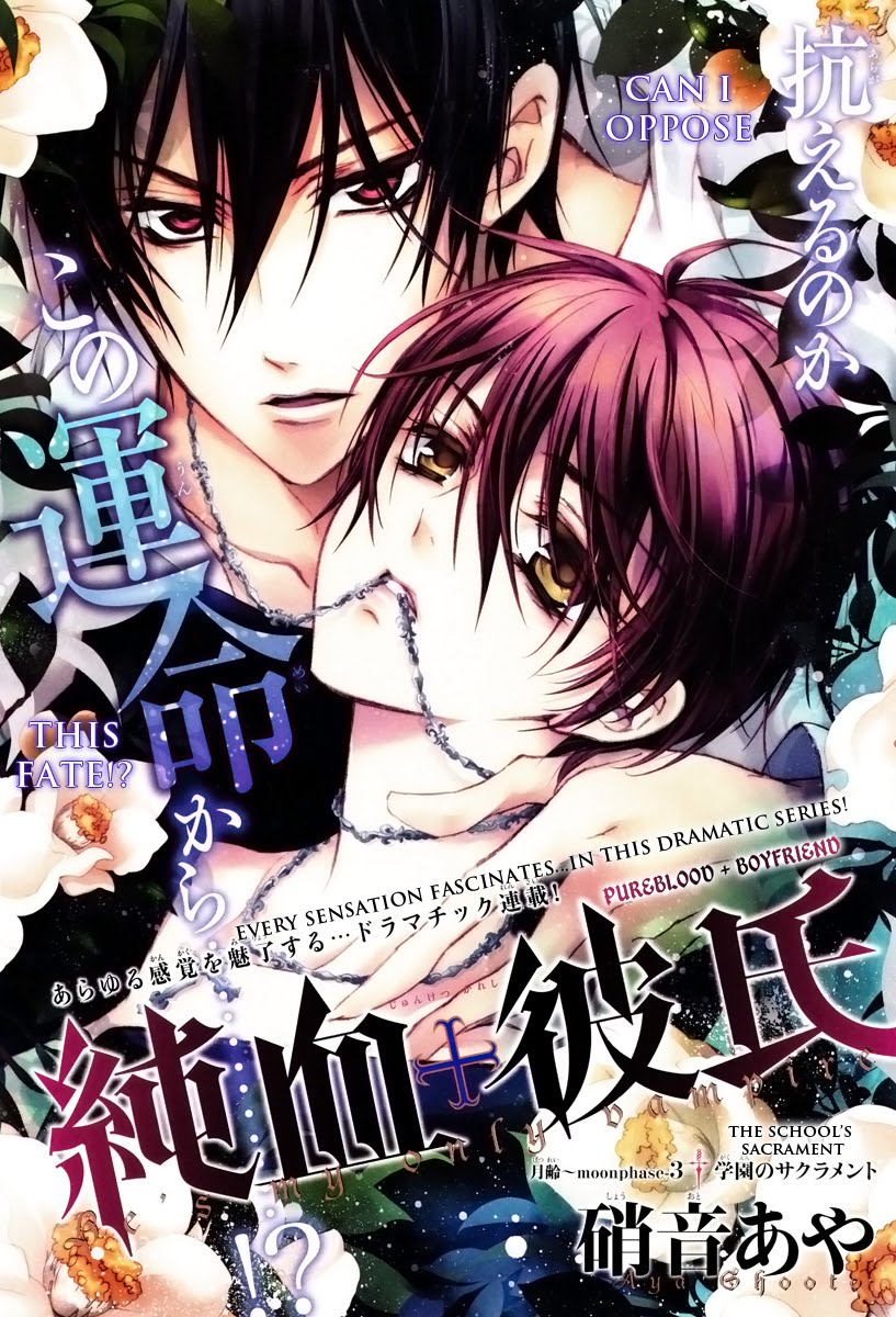 Himi S Neko Mimi House 3 Manga Review 01 Junketsu Kareshi Pureblood Boyfriend