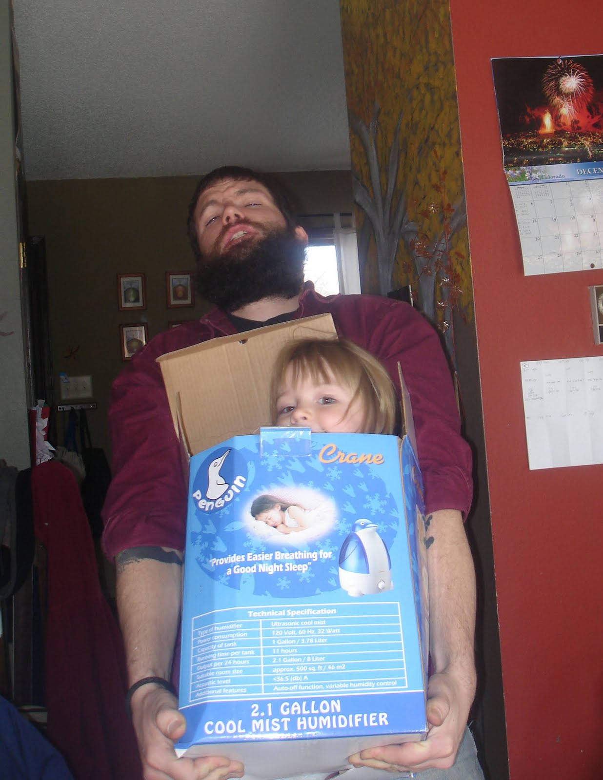 [living+in+a+box.jpg]