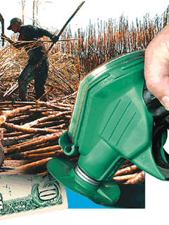 Vocé é o nosso diferencial