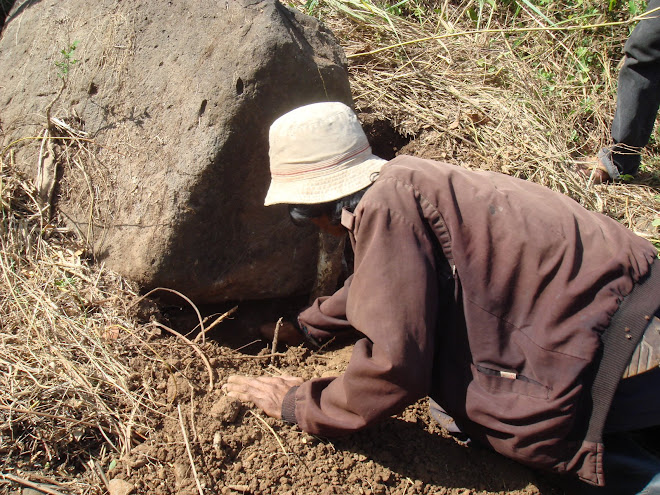 The start of digging