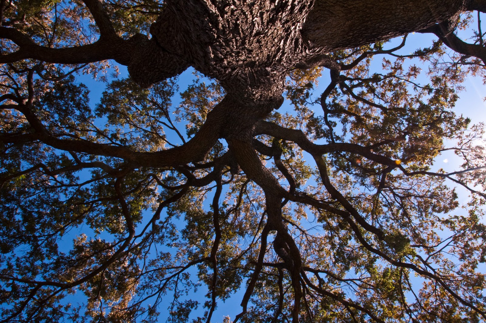 A Different View