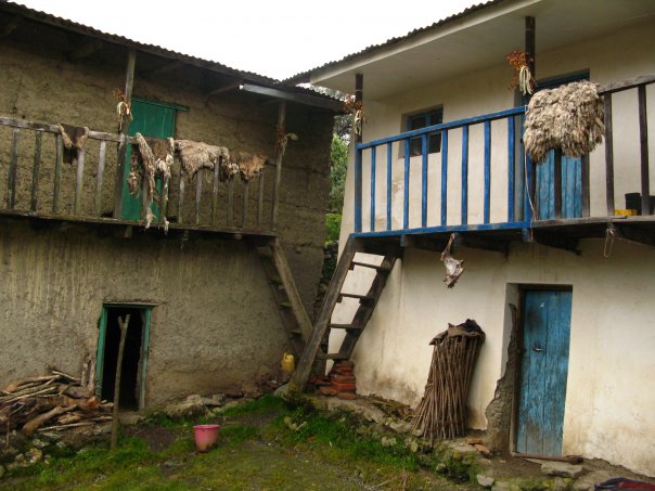 [house.jpg]