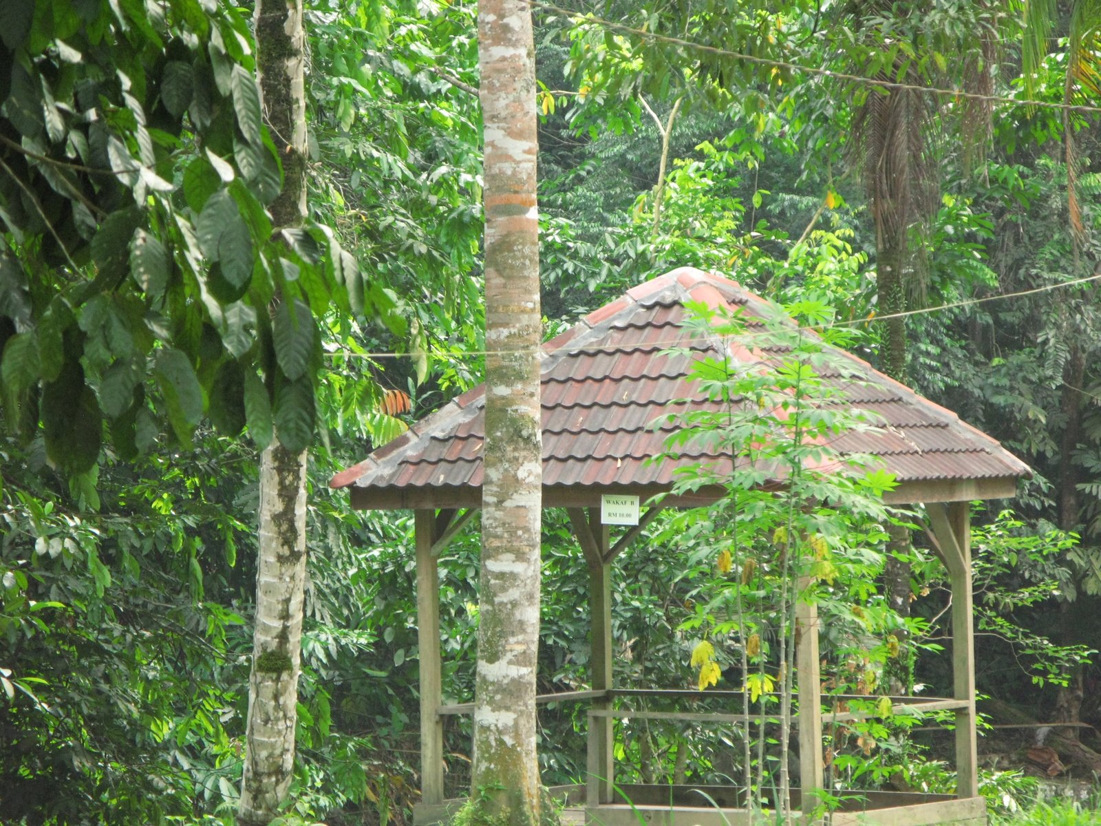 [IMG_2000.JPG]