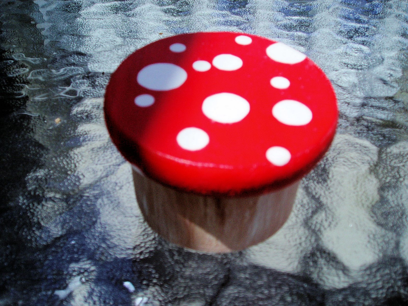 [mushroombox1.jpg]