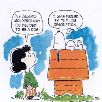 [JobDescription.jpg]