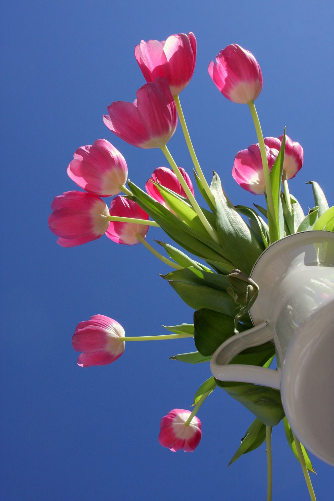[IMG_7376.JPG]