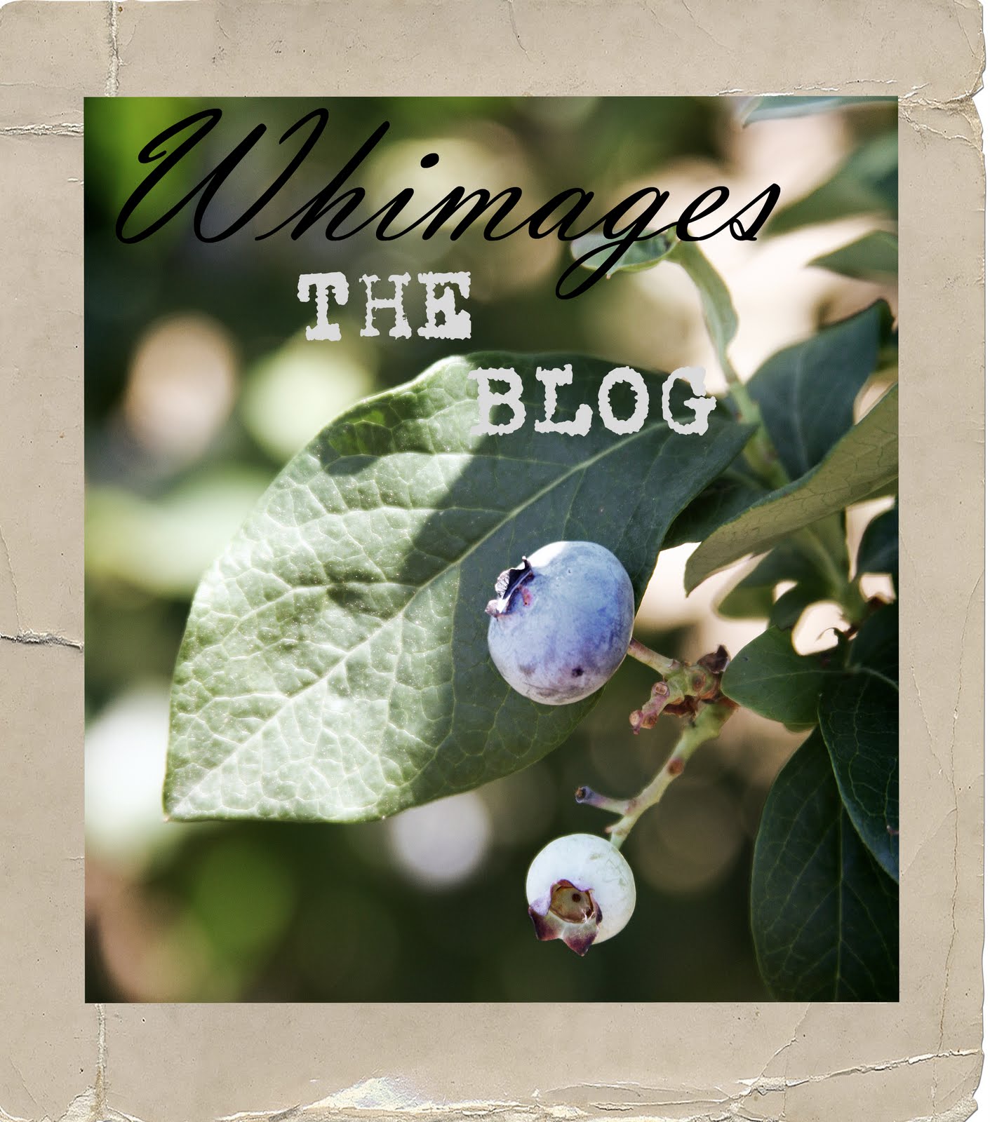 WHIMAGES