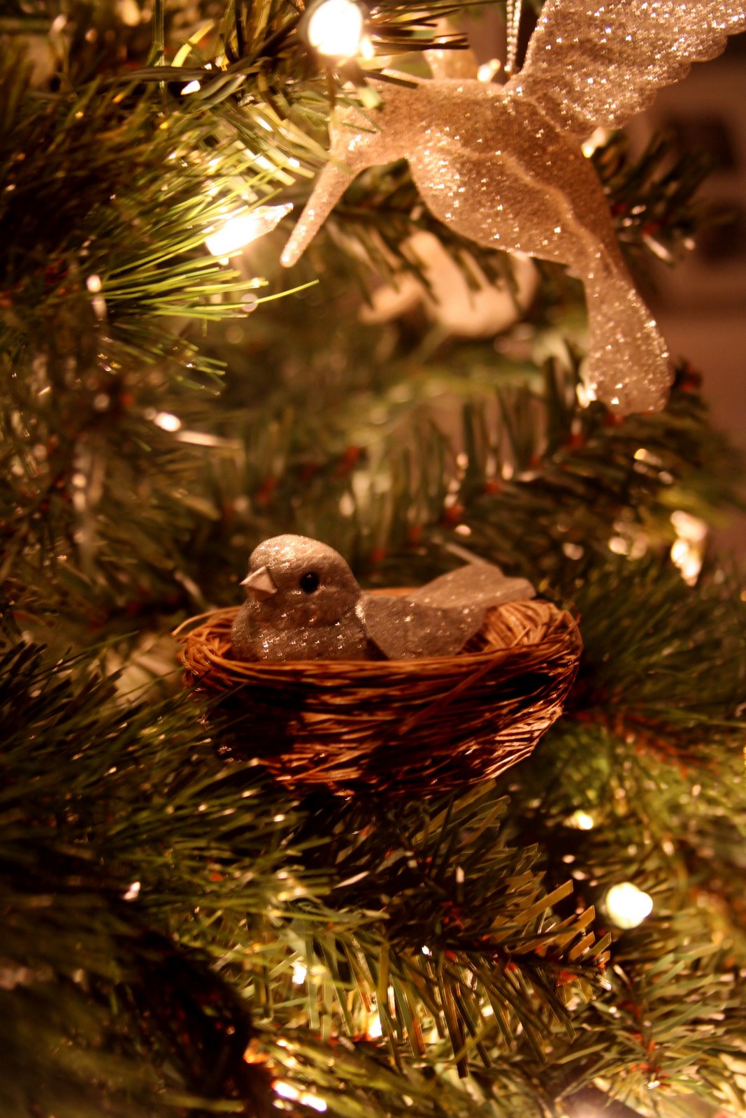 [silver+bird.jpg]