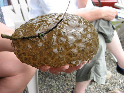 Lake Blob