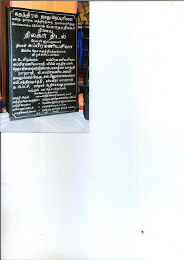 Marina Beach (Opposite to Presidency College)