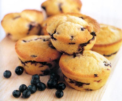 low fat blueberry muffin recipe