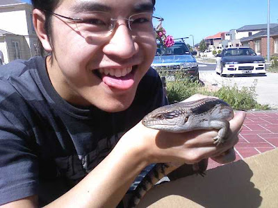 Dave Lizard