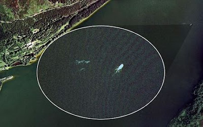 Loch Ness monster [found] on Google Earth 