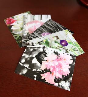 flower postcards