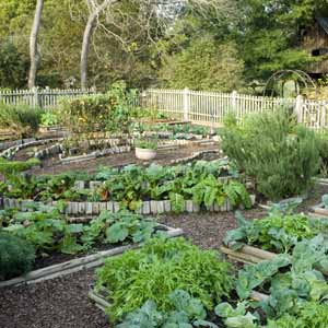 vegetable-garden-style-and-layout-tips0.jpg