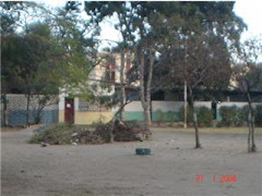 areas verdes por el lado de la cancha no techada