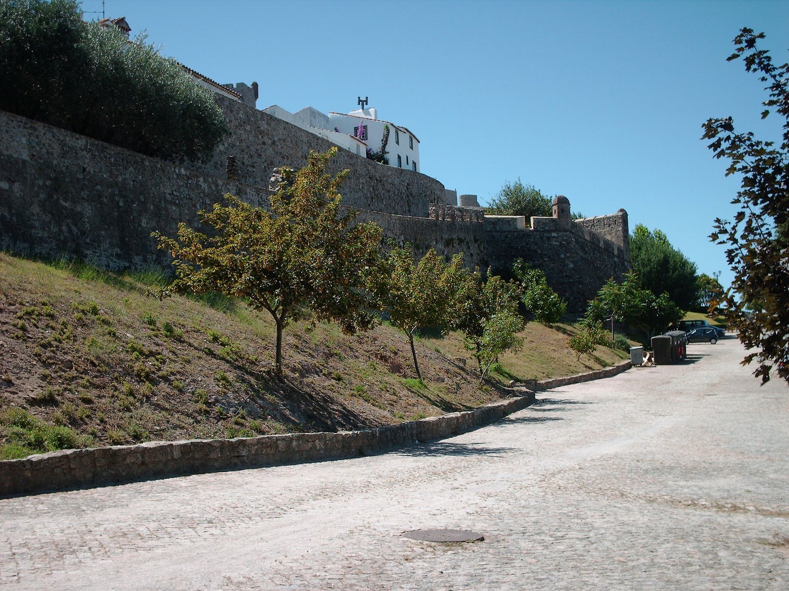 [HPIM2115.JPG]
