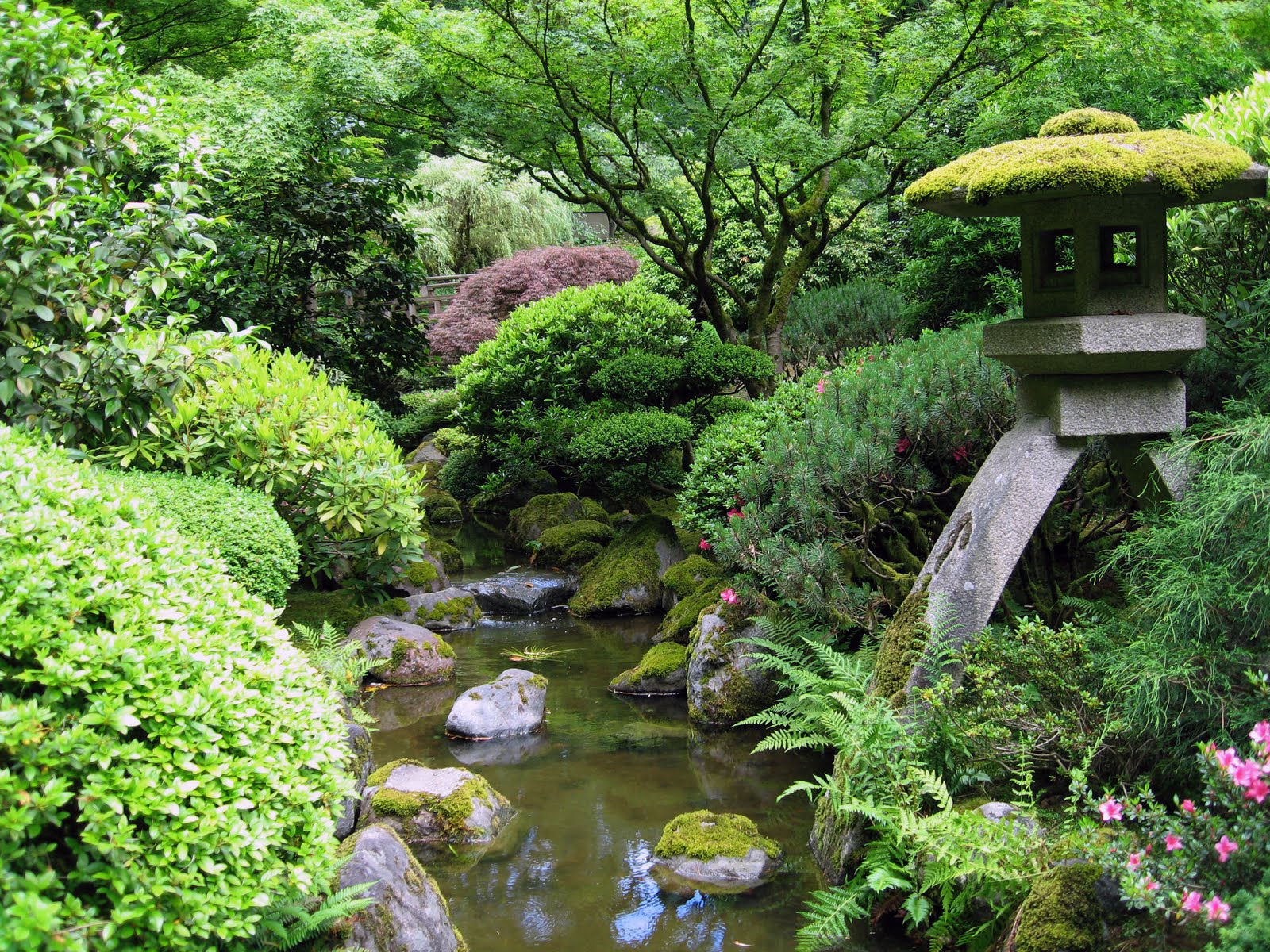 visit the Japanese Gardens