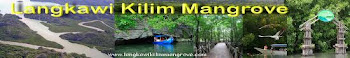 Langkawi mangrove tour