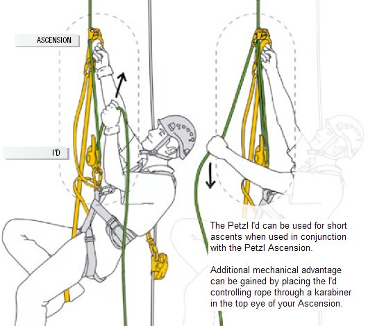 Mast Climb