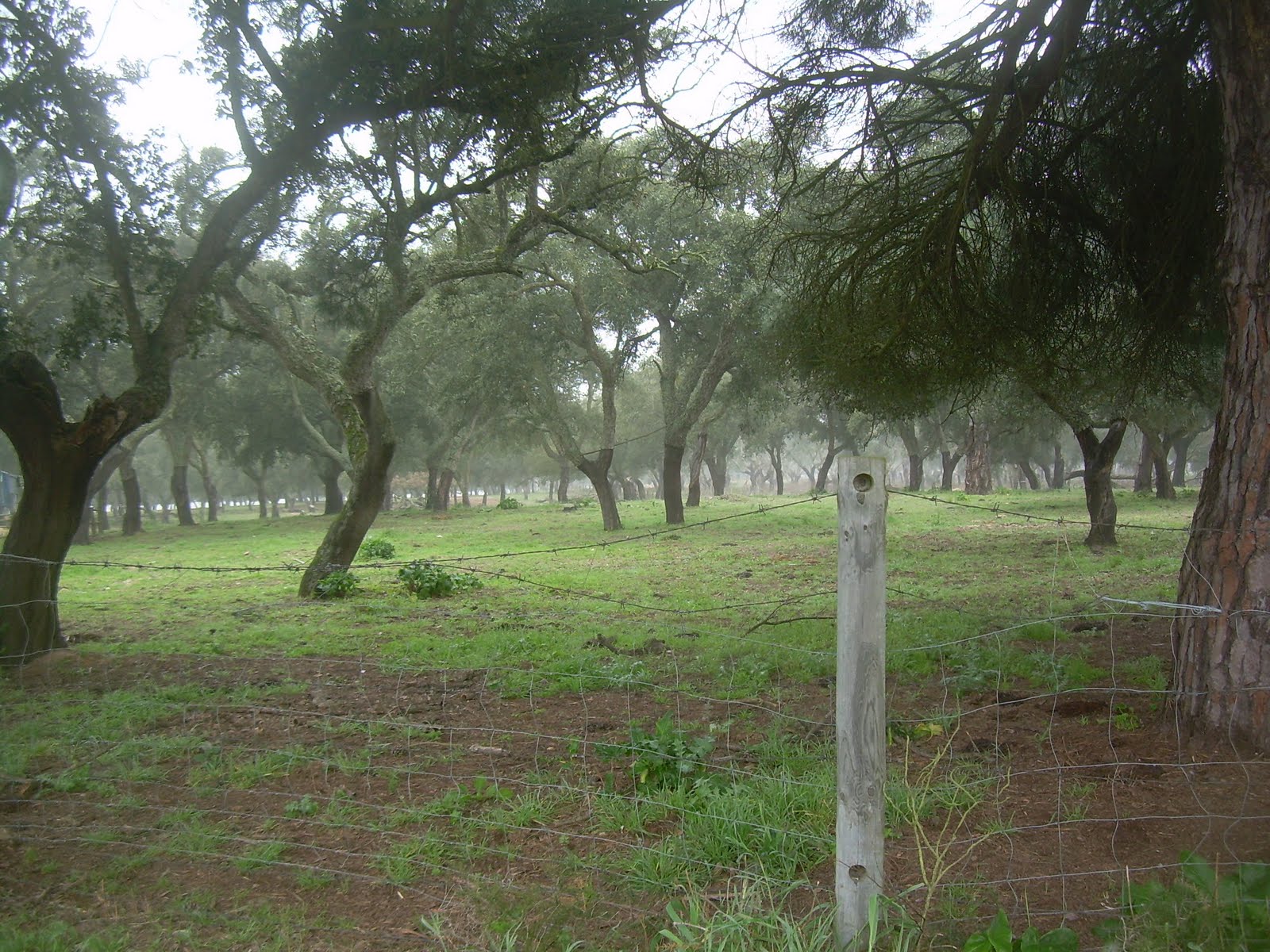 [1-DSCN0108.JPG]