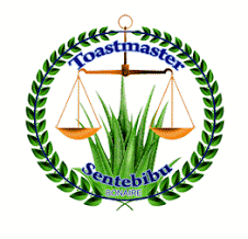 singles and friends toastmasters club