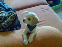 TOMAS YA LLEGÓ A CASA!!