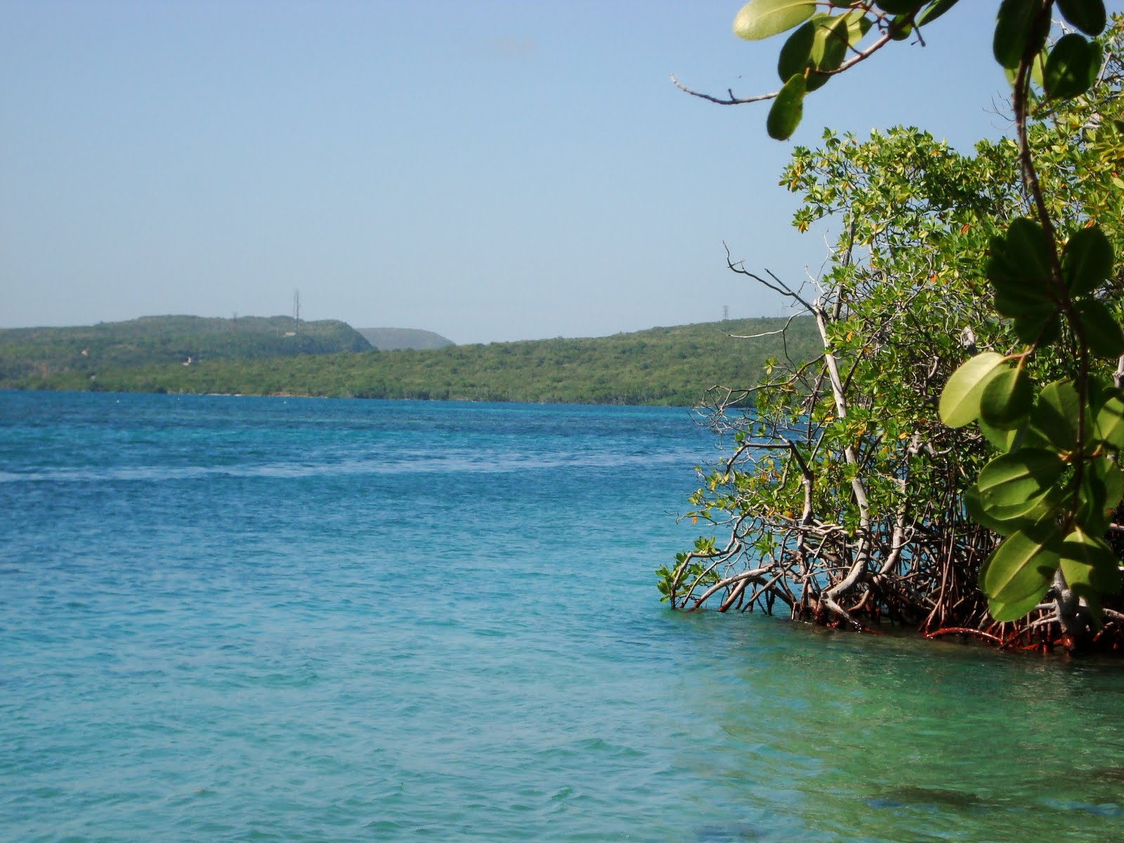 Things to do in PR Gilligan's Island