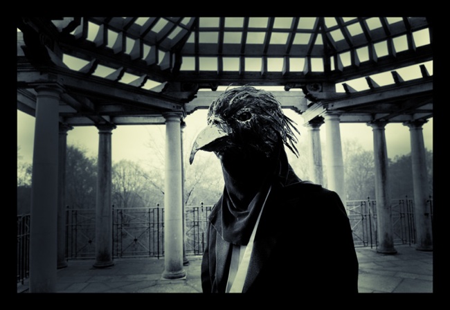 Lasse Hoile