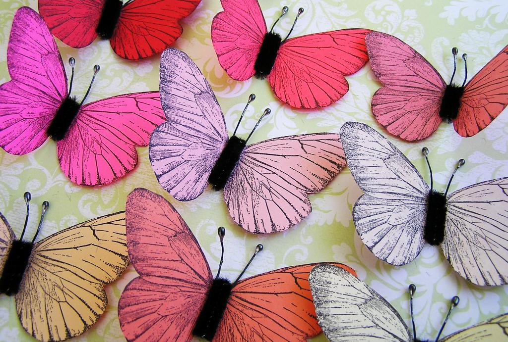 [butterfliesforgiveaway009.jpg]