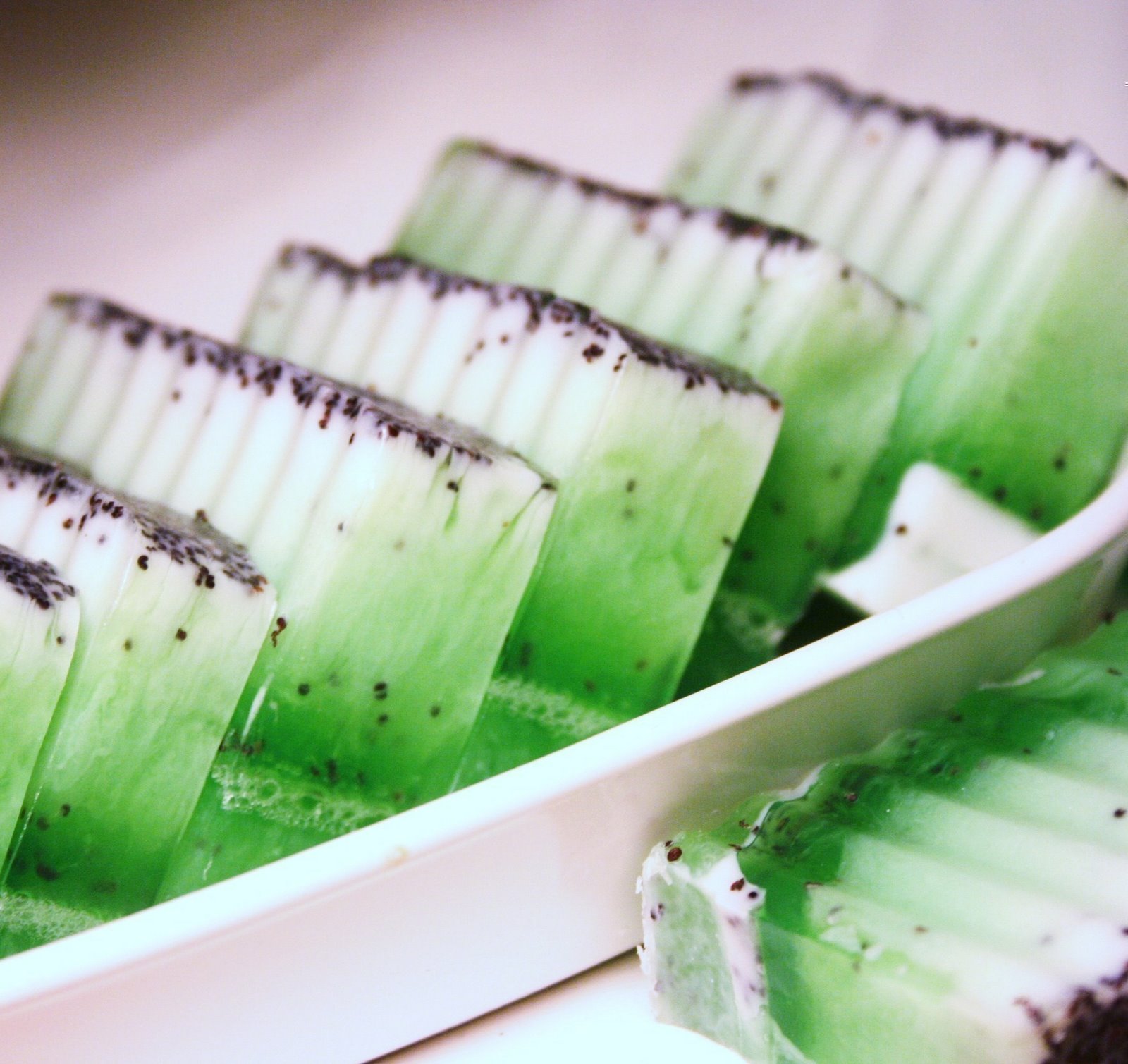 [il_fullxfull.56004556.jpg]