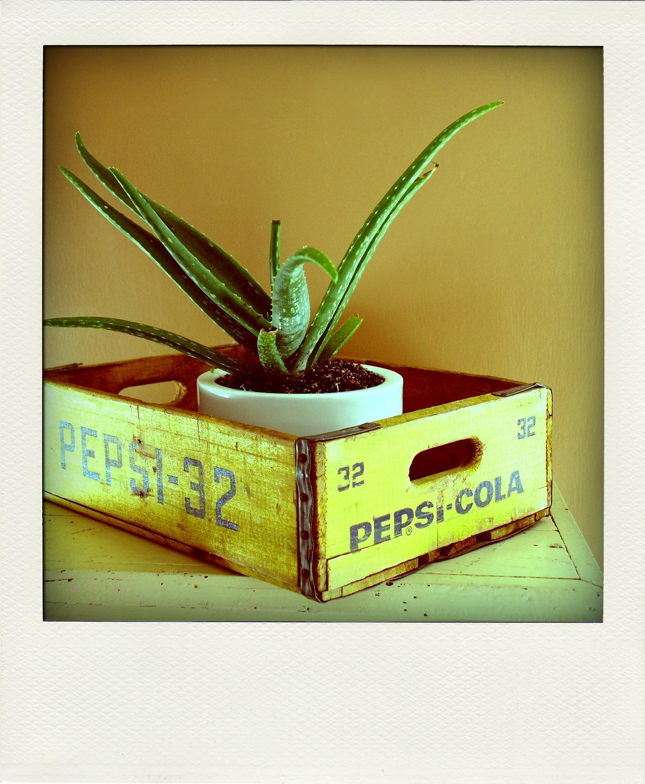 [il_fullxfull.69413191.jpg]