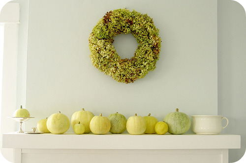 [1782256646_6a6063a2f6.jpg]