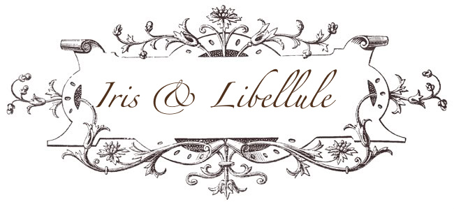 Iris & Libellule