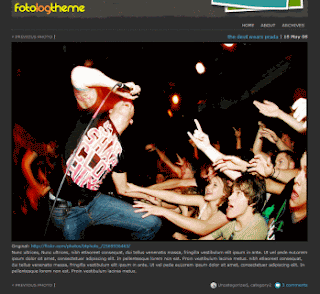 Free Gallery WordPress Themes for Photo Blogging!