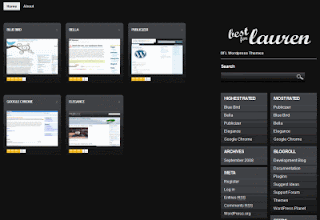 Free Gallery WordPress Themes for Photo Blogging!