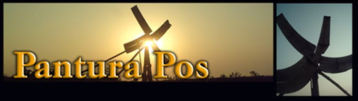 panturapos.online