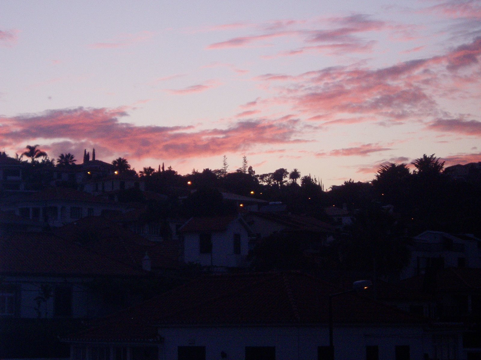 [P1010036.JPG]