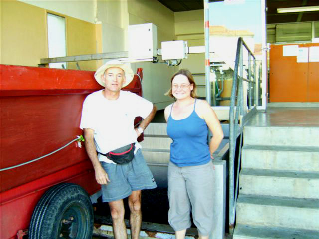 [Vendanges+2009+catherine-pascal-1.JPG]