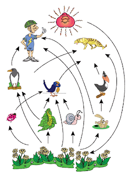 komponen ekosistem