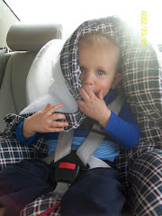 Sy hiding in the carseat cover!
