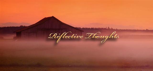 Reflective Thoughts