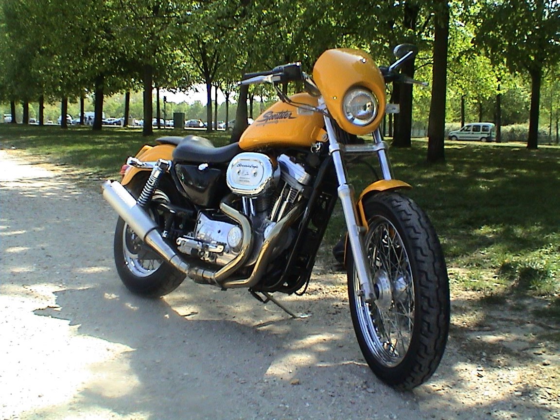 [19sport2.jpg]