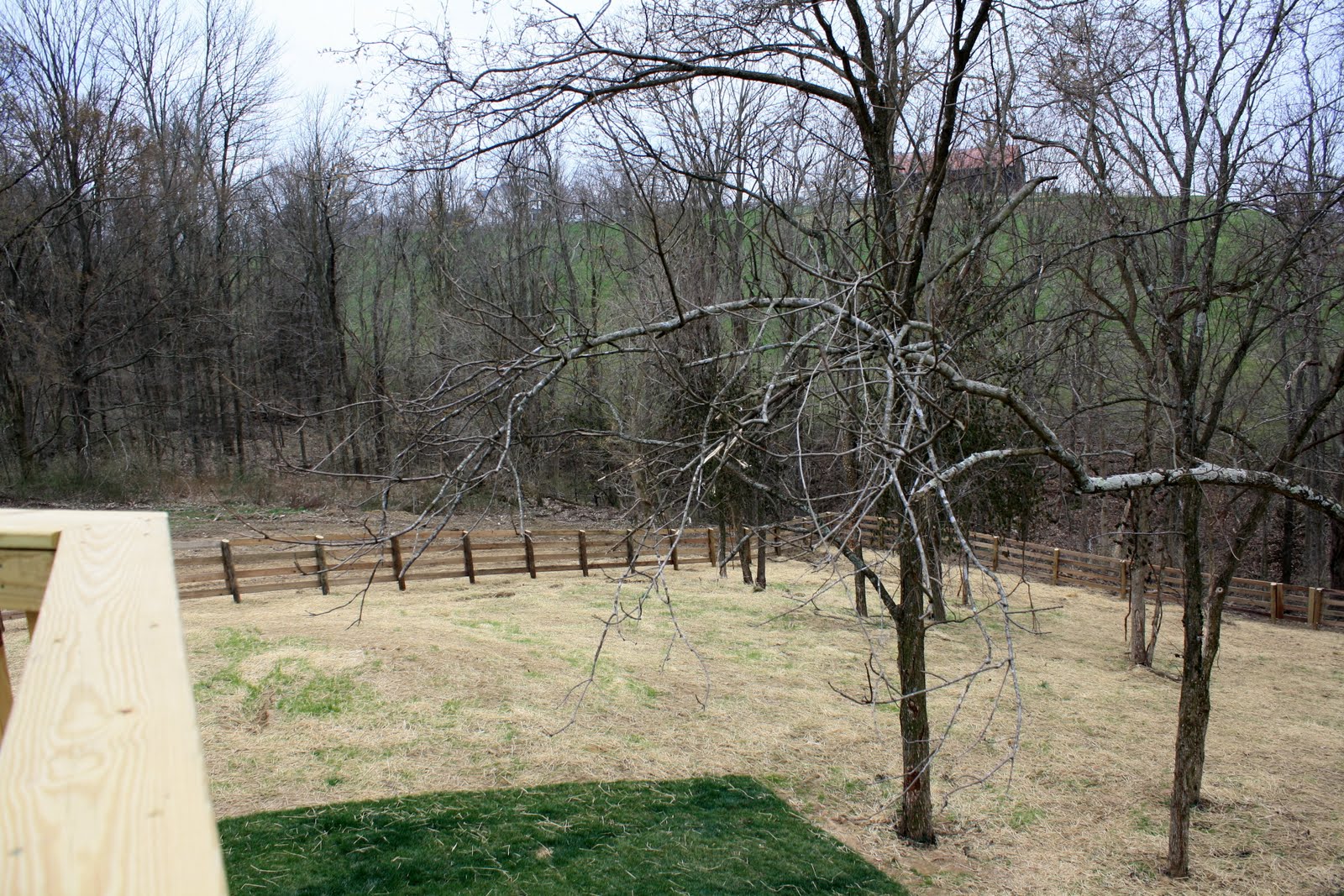 [IMG_4210.JPG]