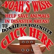 NOAH'S WISH